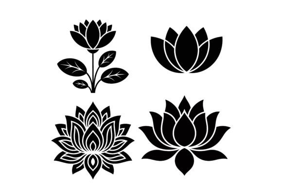 Lotus Silhouette Review