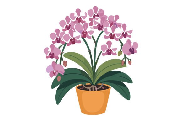 Orchid Vector Review